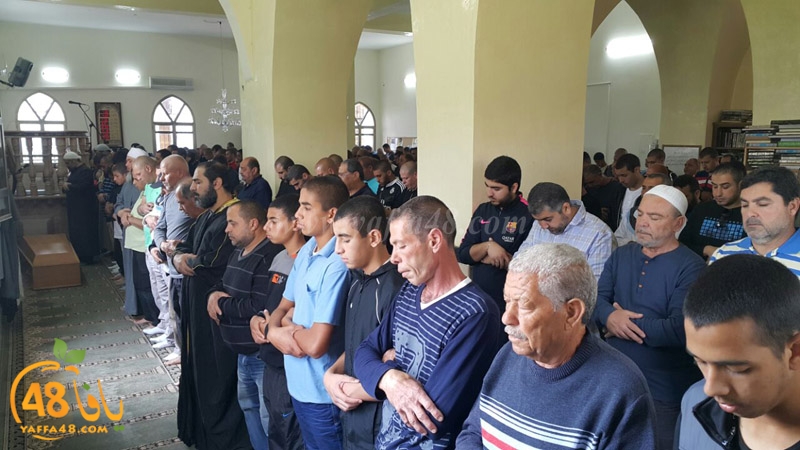 tasheye3 dakkej (10).JPG